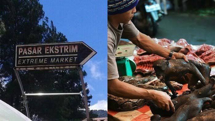 Makanan Ekstrim Namun Laris Manis Di Pasaran