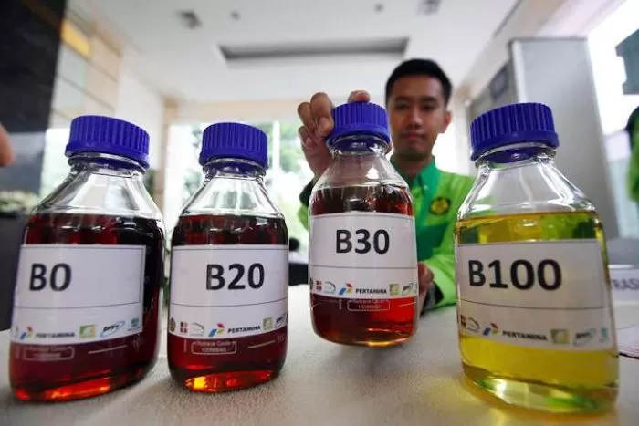 Indonesia Ambil Langkah Baru Menuju Penggunaan Biodiesel B50