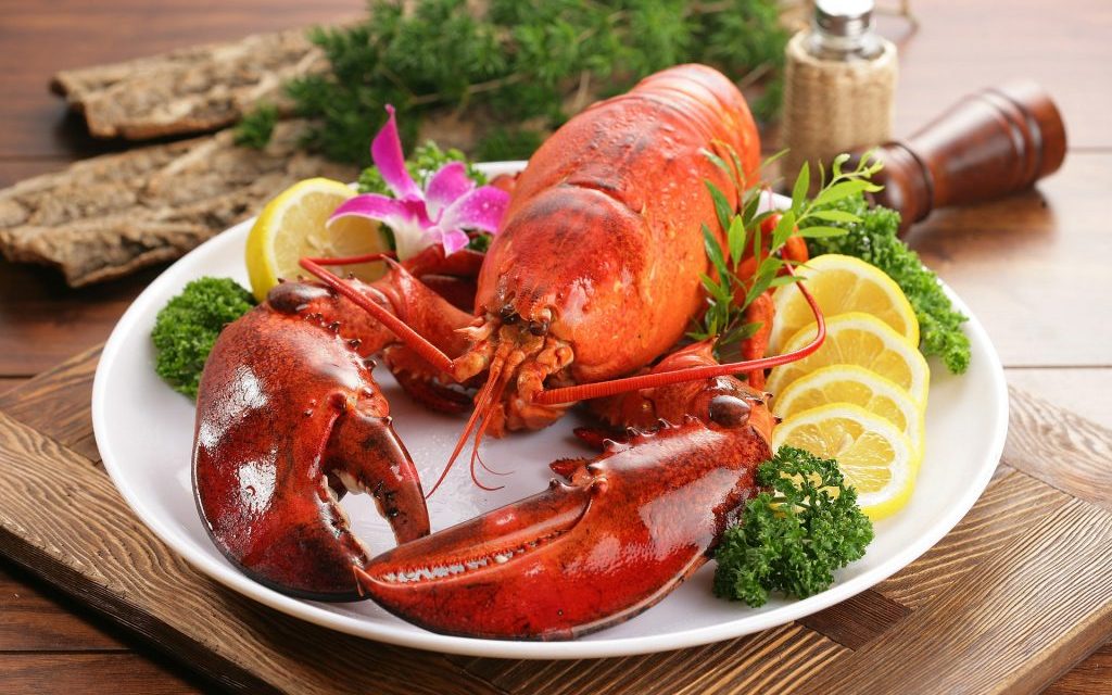 Udang Lobster Makanan Laut Yang Kini Menjadi Kuliner Populer