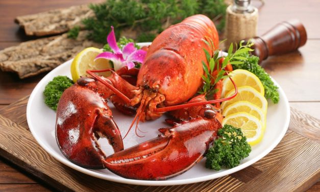 Udang Lobster Makanan Laut Yang Kini Menjadi Kuliner Populer
