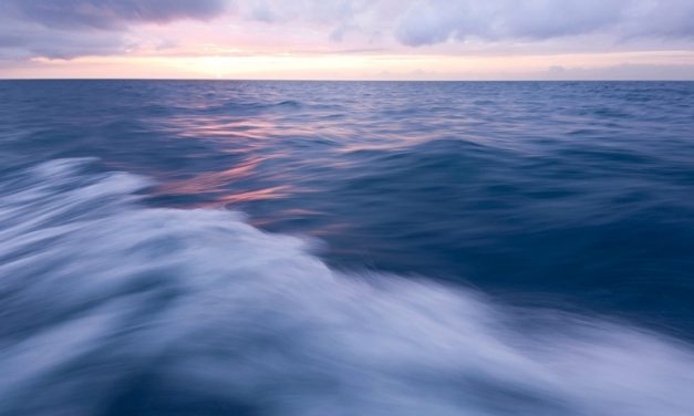 Laut Berubah Warna! Ini Penyebab Dan Dampak Temuan Peneliti