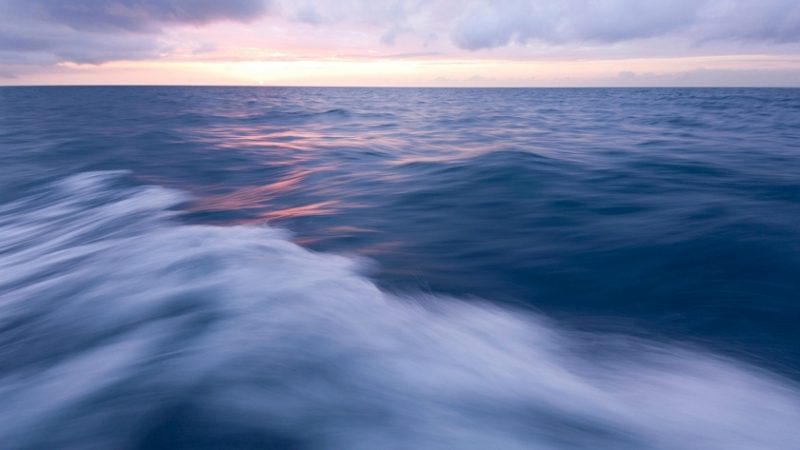 Laut Berubah Warna