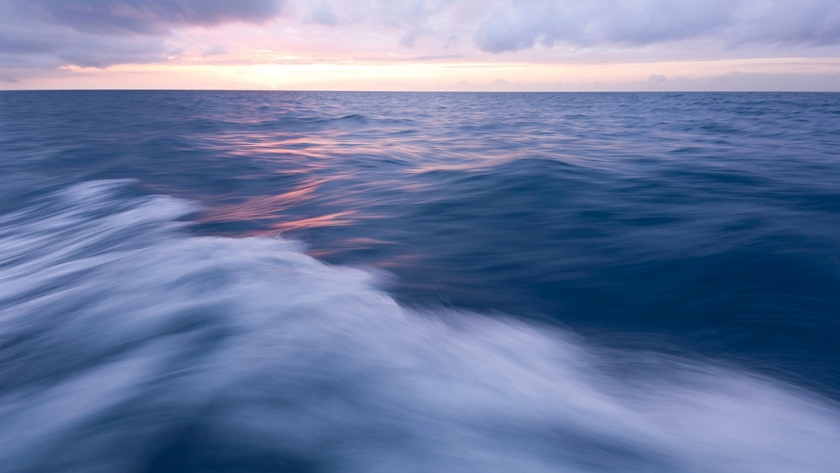 Laut Berubah Warna! Ini Penyebab Dan Dampak Temuan Peneliti