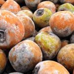 Buah Kesemek Si Manis Bersalju Yang Kaya Manfaat