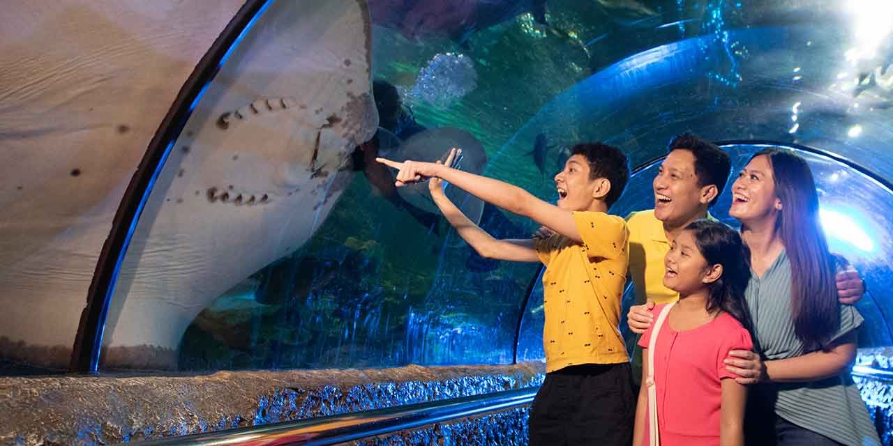 Sea World Ancol Kini Di Lengkapi Audio Guide