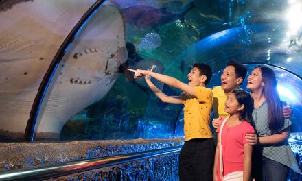 Sea World Ancol Kini Di Lengkapi Audio Guide