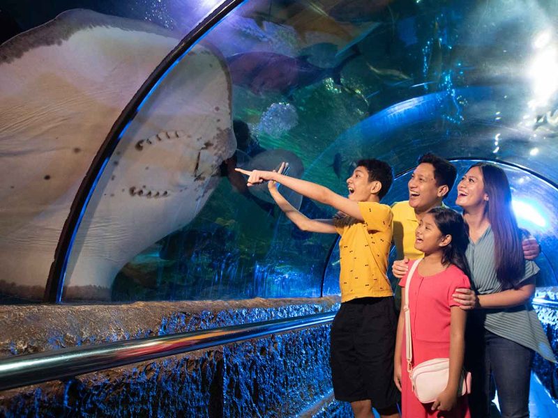 Sea World Ancol