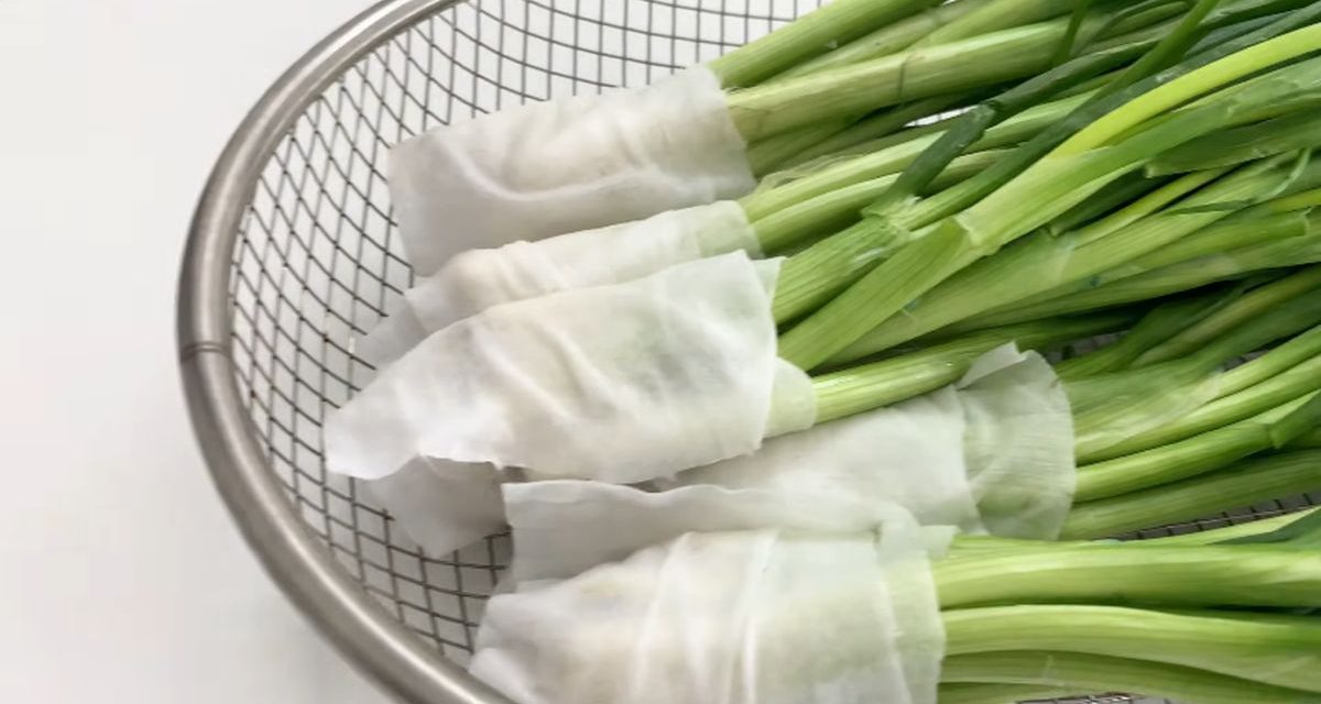 Tips Anti Layu, Menyimpan Daun Bawang Dengan Baik