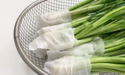 Tips Anti Layu, Menyimpan Daun Bawang Dengan Baik
