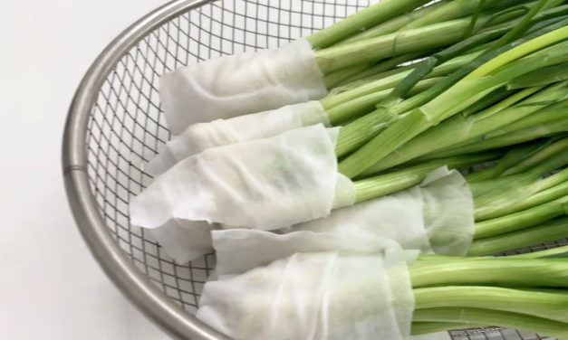 Tips Anti Layu, Menyimpan Daun Bawang Dengan Baik